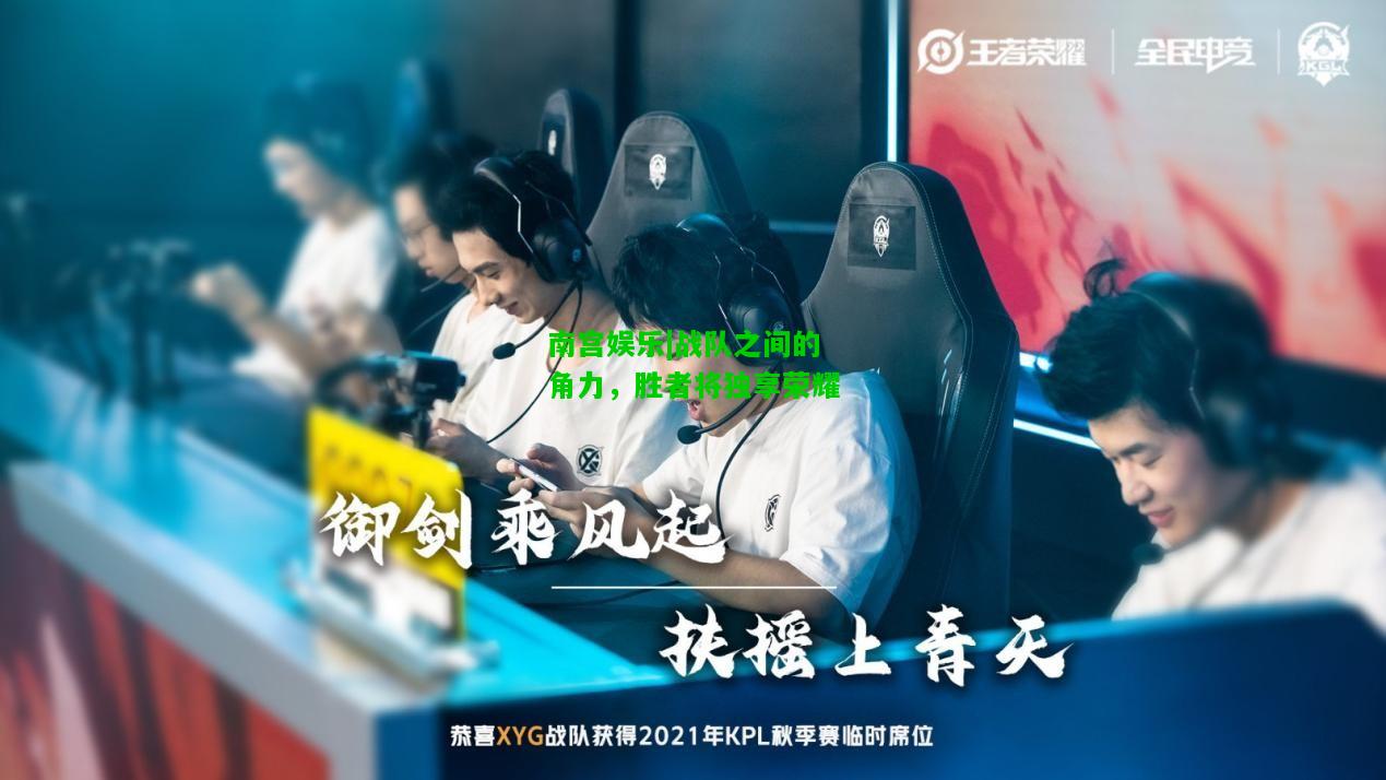 战队之间的角力，胜者将独享荣耀